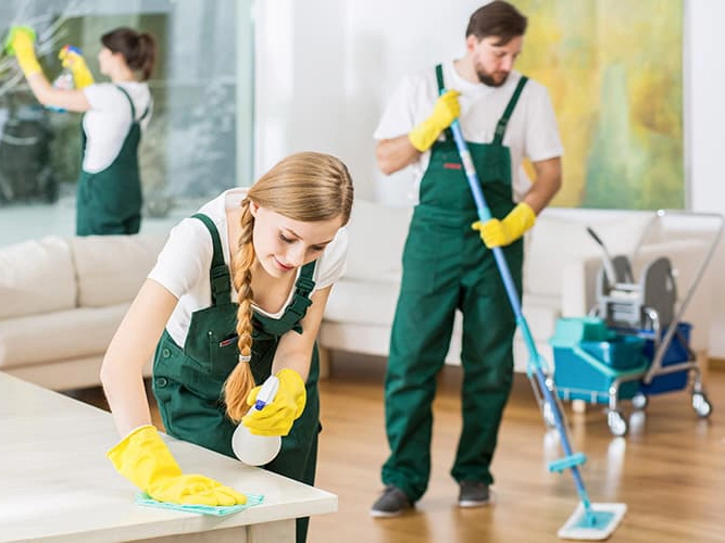 Janitorial Services